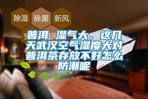 普洱 濕氣大，這幾天武漢空氣濕度大對普洱茶存放不好怎么防潮呢