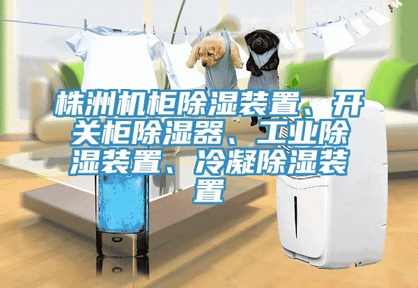 株洲機(jī)柜除濕裝置、開(kāi)關(guān)柜除濕器、工業(yè)除濕裝置、冷凝除濕裝置