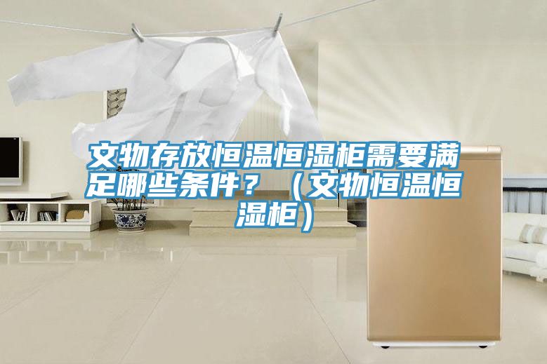 文物存放恒溫恒濕柜需要滿足哪些條件？（文物恒溫恒濕柜）