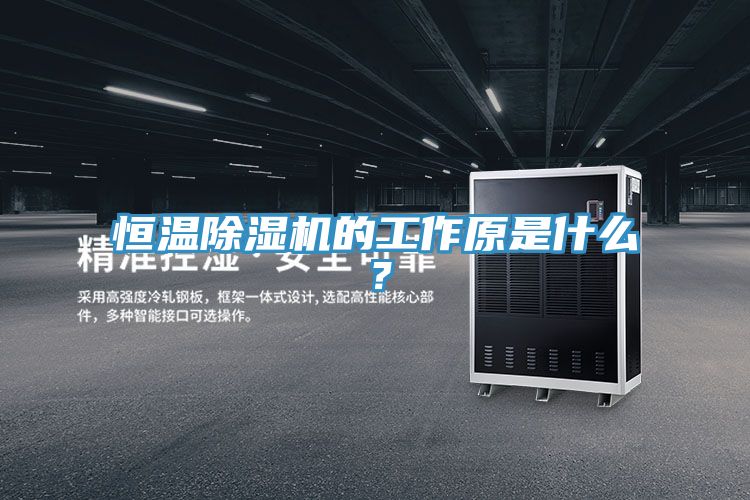 恒溫除濕機(jī)的工作原是什么？