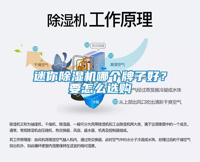迷你除濕機哪個牌子好？要怎么選購