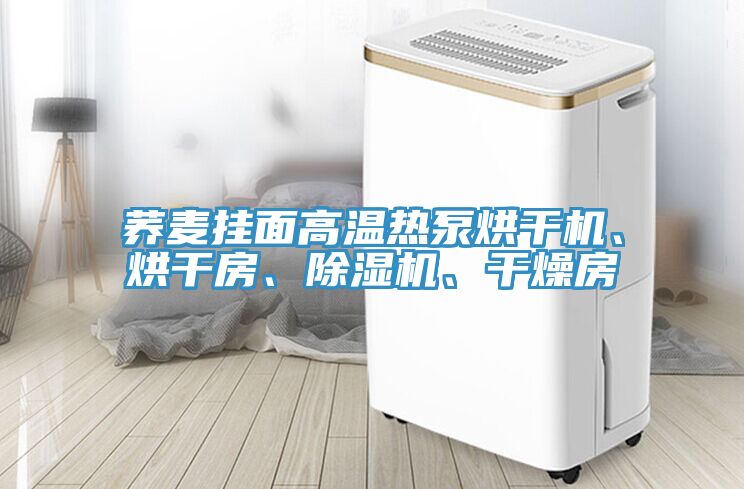 蕎麥掛面高溫?zé)岜煤娓蓹C、烘干房、除濕機、干燥房