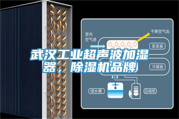 武漢工業(yè)超聲波加濕器，除濕機(jī)品牌