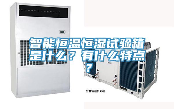 智能恒溫恒濕試驗箱是什么？有什么特點？