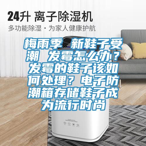 梅雨季 新鞋子受潮 發(fā)霉怎么辦？發(fā)霉的鞋子該如何處理？電子防潮箱存儲鞋子成為流行時尚