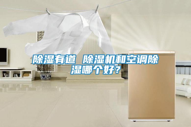 除濕有道 除濕機(jī)和空調(diào)除濕哪個(gè)好？