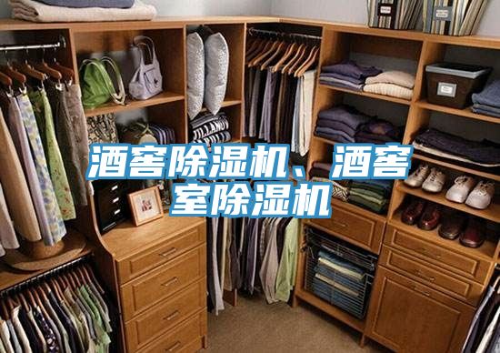 酒窖除濕機、酒窖室除濕機