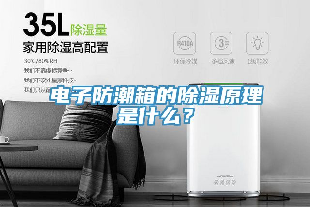 電子防潮箱的除濕原理是什么？