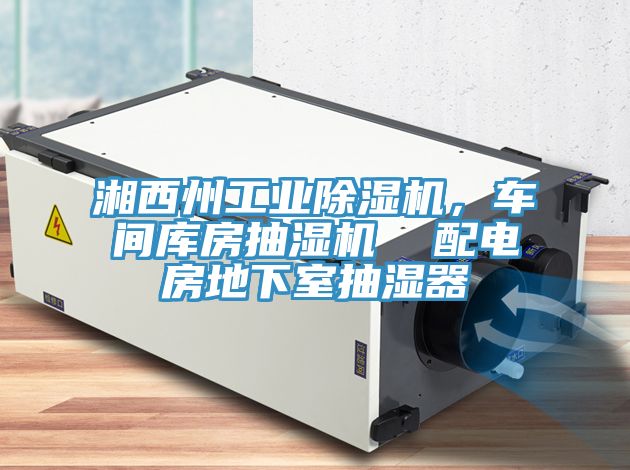 湘西州工業(yè)除濕機，車間庫房抽濕機  配電房地下室抽濕器