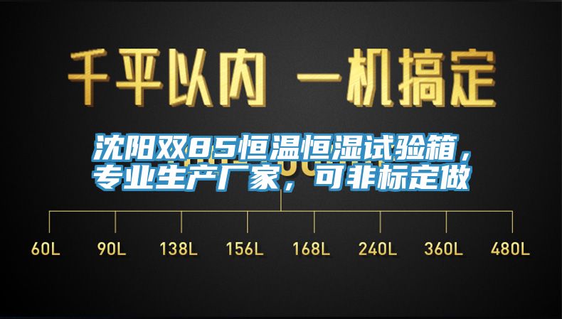沈陽雙85恒溫恒濕試驗(yàn)箱，專業(yè)生產(chǎn)廠家，可非標(biāo)定做