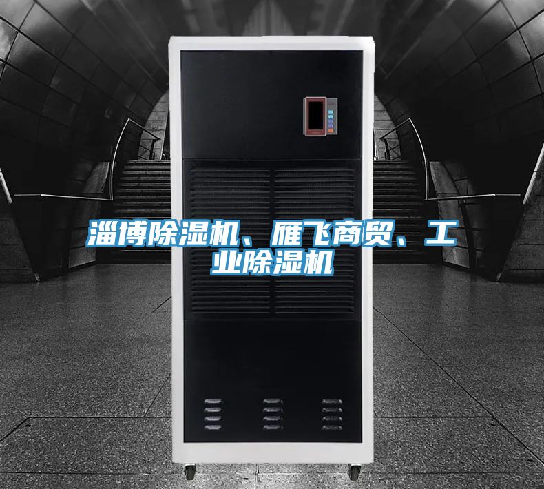 淄博除濕機(jī)、雁飛商貿(mào)、工業(yè)除濕機(jī)