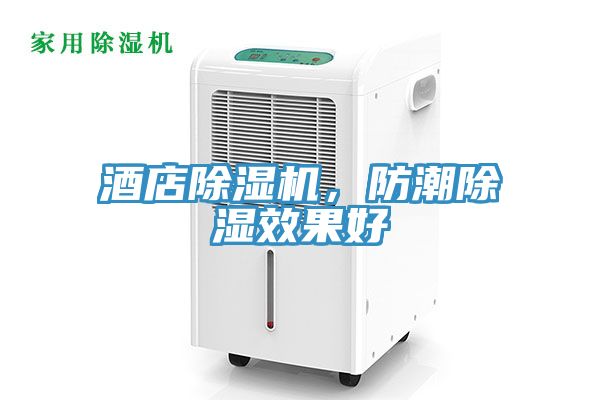 酒店除濕機，防潮除濕效果好