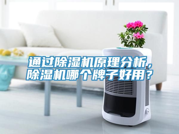 通過除濕機(jī)原理分析，除濕機(jī)哪個(gè)牌子好用？