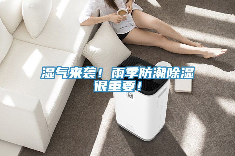濕氣來(lái)襲！雨季防潮除濕很重要！