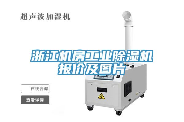 浙江機(jī)房工業(yè)除濕機(jī)報價及圖片