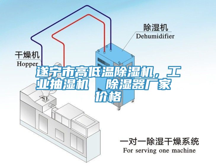 遂寧市高低溫除濕機(jī)，工業(yè)抽濕機(jī)  除濕器廠家 價(jià)格