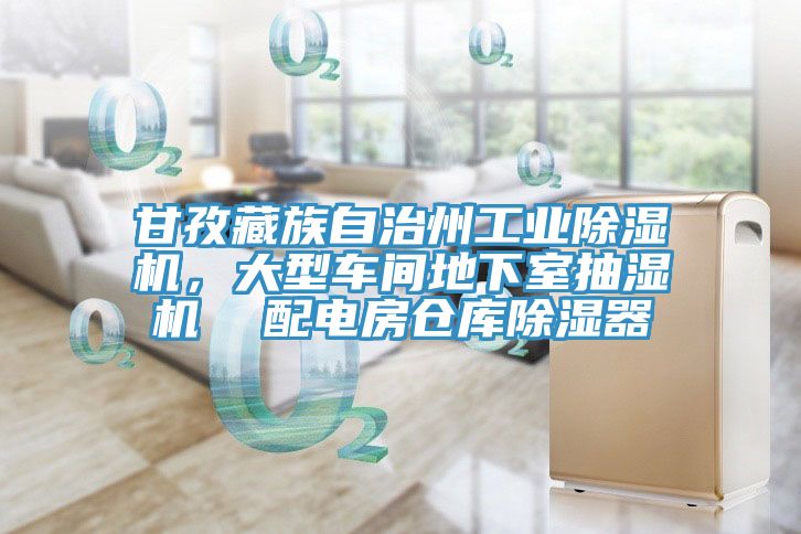 甘孜藏族自治州工業(yè)除濕機，大型車間地下室抽濕機  配電房倉庫除濕器