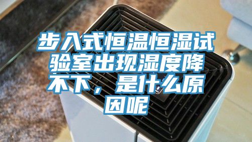 步入式恒溫恒濕試驗(yàn)室出現(xiàn)濕度降不下，是什么原因呢