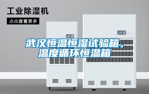 武漢恒溫恒濕試驗(yàn)箱，溫度循環(huán)恒溫箱