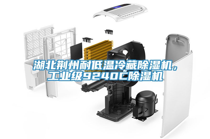湖北荊州耐低溫冷藏除濕機(jī)，工業(yè)級(jí)9240C除濕機(jī)