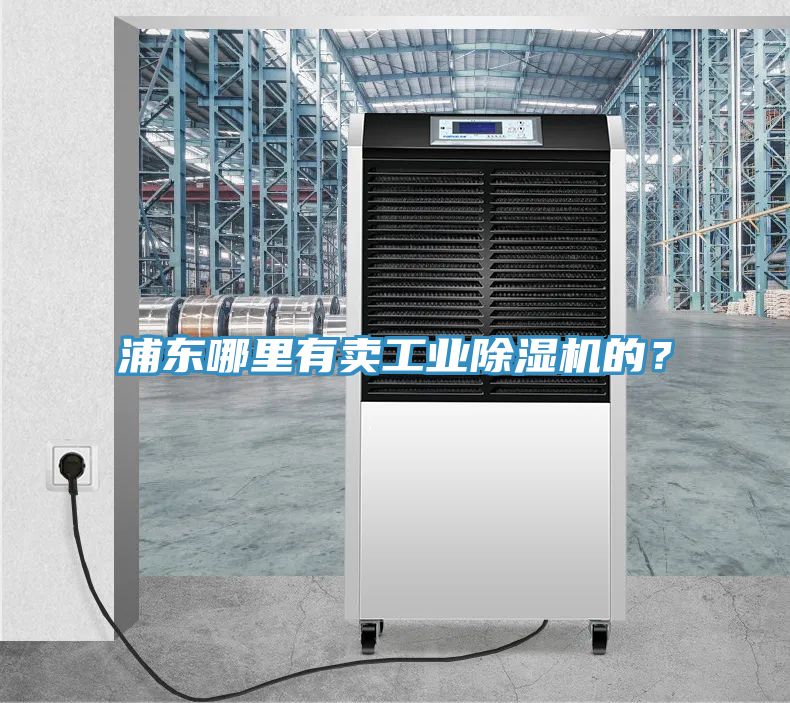 浦東哪里有賣工業(yè)除濕機(jī)的？