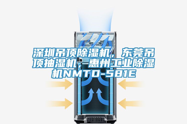 深圳吊頂除濕機，東莞吊頂抽濕機，惠州工業(yè)除濕機NMTD-581E