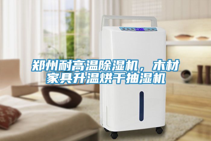 鄭州耐高溫除濕機，木材家具升溫烘干抽濕機