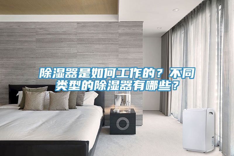 除濕器是如何工作的？不同類型的除濕器有哪些？