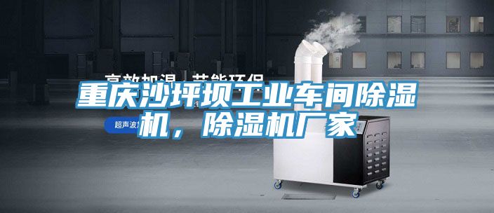 重慶沙坪壩工業(yè)車間除濕機(jī)，除濕機(jī)廠家