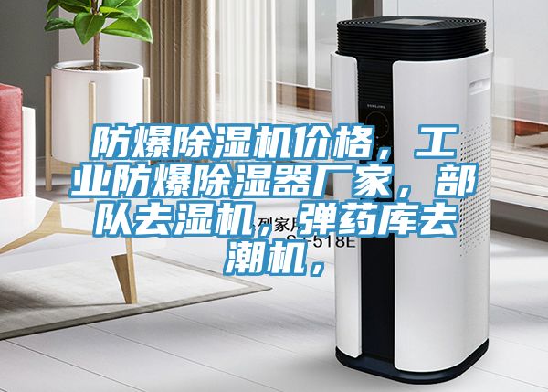 防爆除濕機(jī)價(jià)格，工業(yè)防爆除濕器廠家，部隊(duì)去濕機(jī)，彈藥庫去潮機(jī)，