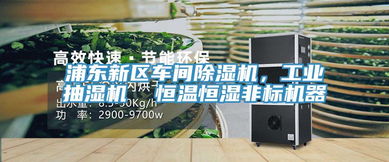 浦東新區(qū)車間除濕機(jī)，工業(yè)抽濕機(jī)  恒溫恒濕非標(biāo)機(jī)器