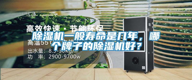除濕機(jī)一般壽命是幾年，哪個牌子的除濕機(jī)好？