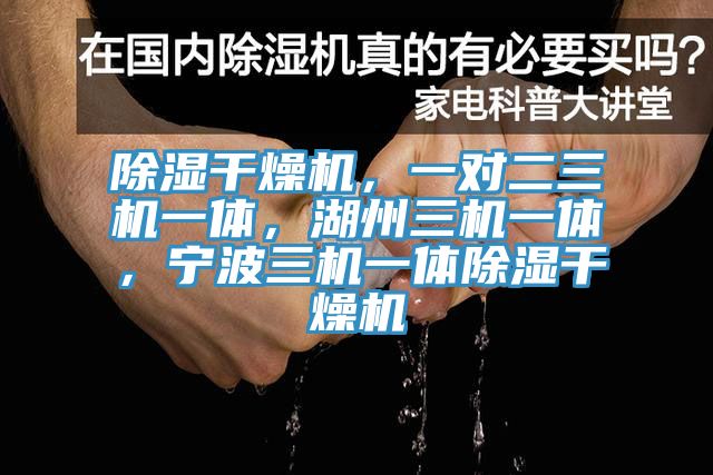 除濕干燥機(jī)，一對(duì)二三機(jī)一體，湖州三機(jī)一體，寧波三機(jī)一體除濕干燥機(jī)