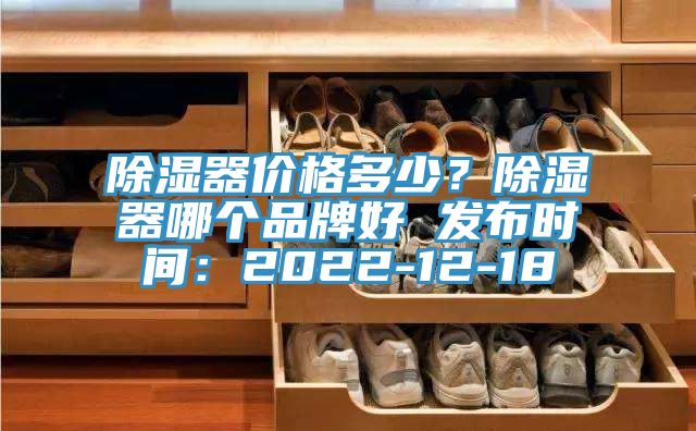 除濕器價格多少？除濕器哪個品牌好 發(fā)布時間：2022-12-18