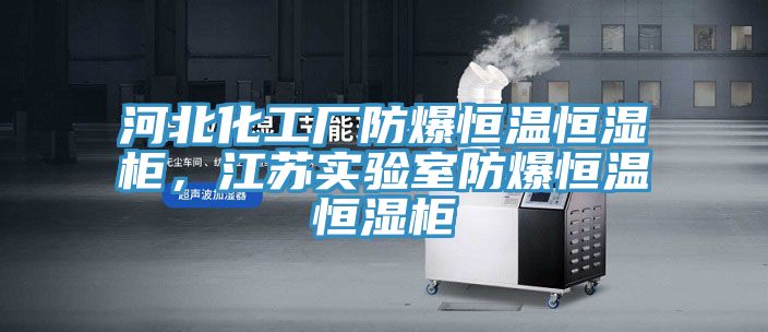 河北化工廠防爆恒溫恒濕柜，江蘇實(shí)驗(yàn)室防爆恒溫恒濕柜