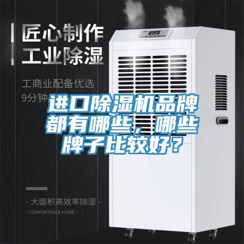 進(jìn)口除濕機(jī)品牌都有哪些，哪些牌子比較好？