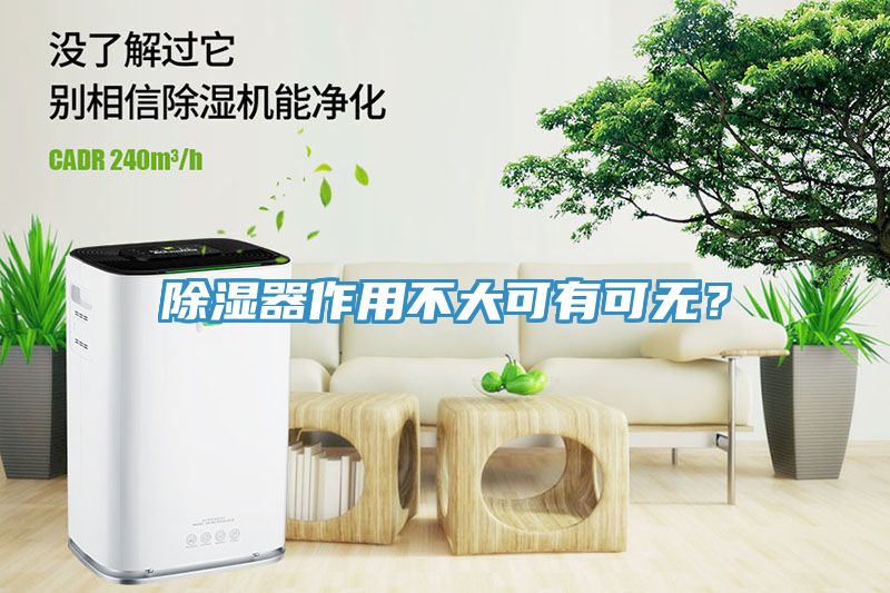 除濕器作用不大可有可無(wú)？