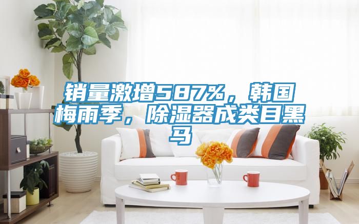 銷量激增587%，韓國梅雨季，除濕器成類目黑馬
