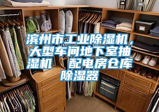 濱州市工業(yè)除濕機，大型車間地下室抽濕機  配電房倉庫除濕器