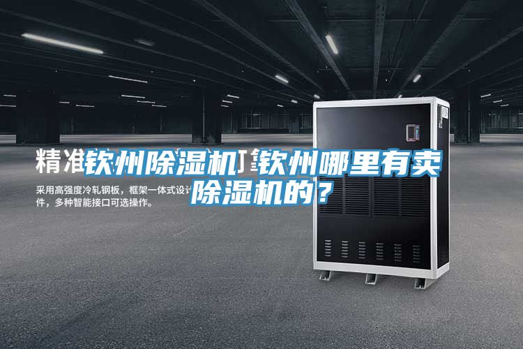 欽州除濕機(jī) 欽州哪里有賣除濕機(jī)的？