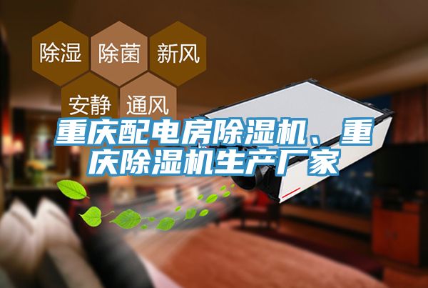 重慶配電房除濕機(jī)、重慶除濕機(jī)生產(chǎn)廠家