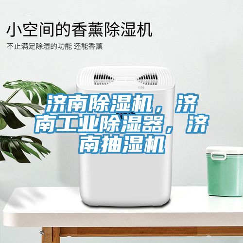 濟(jì)南除濕機(jī)，濟(jì)南工業(yè)除濕器，濟(jì)南抽濕機(jī)