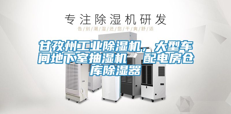 甘孜州工業(yè)除濕機，大型車間地下室抽濕機  配電房倉庫除濕器
