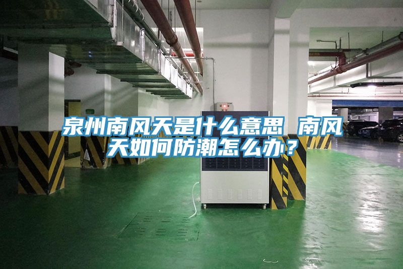 泉州南風(fēng)天是什么意思 南風(fēng)天如何防潮怎么辦？