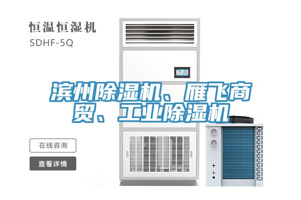 濱州除濕機、雁飛商貿(mào)、工業(yè)除濕機