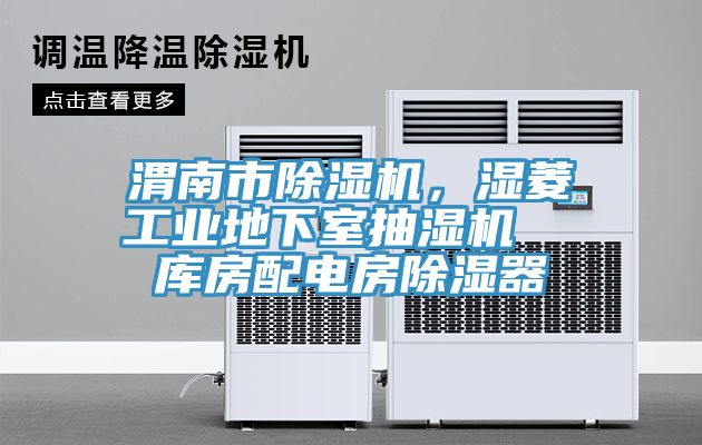 渭南市除濕機(jī)，濕菱工業(yè)地下室抽濕機(jī)  庫房配電房除濕器