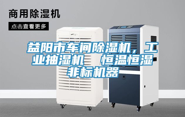 益陽市車間除濕機，工業(yè)抽濕機  恒溫恒濕非標(biāo)機器