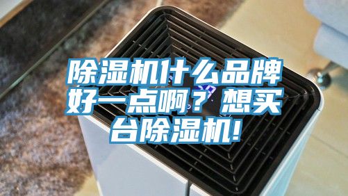 除濕機(jī)什么品牌好一點(diǎn)??？想買臺(tái)除濕機(jī)!