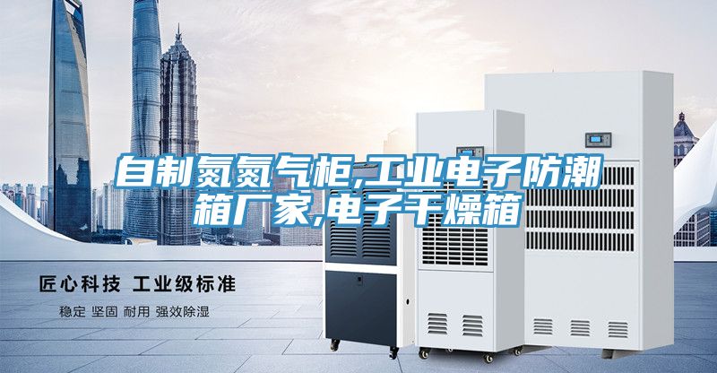 自制氮氮?dú)夤?工業(yè)電子防潮箱廠(chǎng)家,電子干燥箱