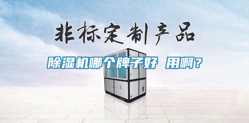 除濕機(jī)哪個(gè)牌子好 用??？